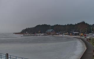 Dąbki - 16-01-2026 07:17