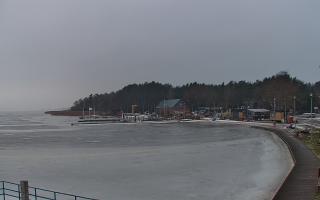 Dąbki - 16-01-2026 07:25