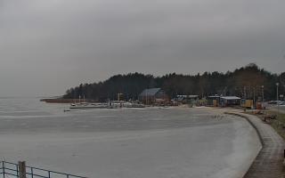 Dąbki - 23-01-2026 10:22