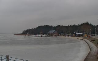 Dąbki - 23-01-2026 10:45