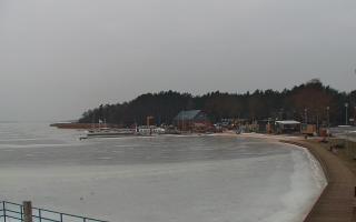 Dąbki - 24-01-2026 06:38