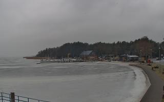 Dąbki - 26-01-2026 10:37