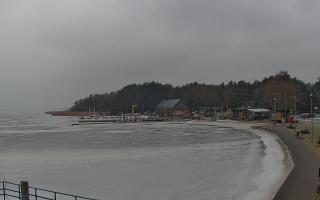 Dąbki - 26-01-2026 11:01