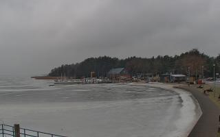 Dąbki - 26-01-2026 11:08