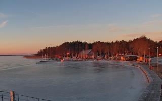 Dąbki - 01-02-2026 06:54