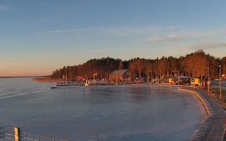 Dąbki - 01-02-2026 07:09