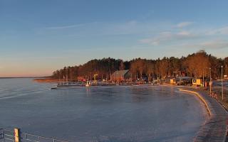 Dąbki - 01-02-2026 07:17