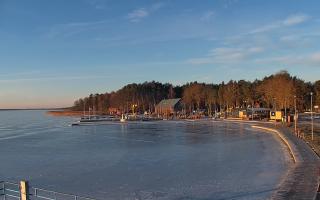 Dąbki - 01-02-2026 07:32