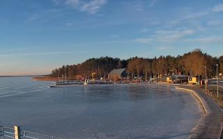 Dąbki - 01-02-2026 07:40