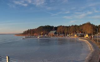 Dąbki - 01-02-2026 07:48