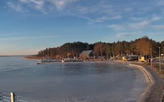 Dąbki - 01-02-2026 07:55