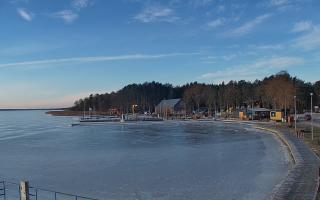 Dąbki - 01-02-2026 08:34