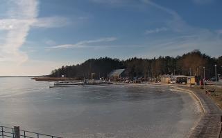 Dąbki - 01-02-2026 11:39