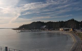 Dąbki - 01-02-2026 12:40