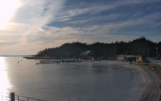 Dąbki - 01-02-2026 13:11