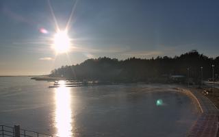 Dąbki - 02-02-2026 14:21