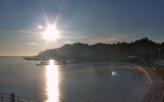 Dąbki - 02-02-2026 14:28