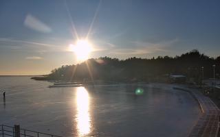 Dąbki - 02-02-2026 14:44