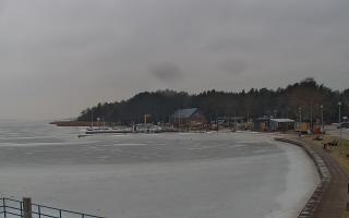 Dąbki - 05-02-2026 11:58