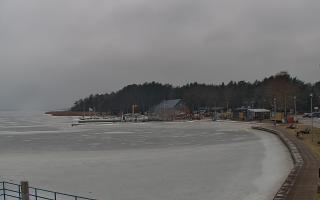 Dąbki - 05-02-2026 12:13