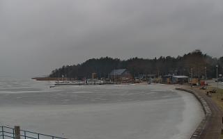 Dąbki - 05-02-2026 12:29