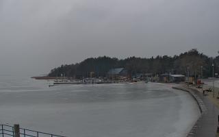 Dąbki - 06-02-2026 07:59