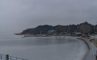 Dąbki - 06-02-2026 14:16