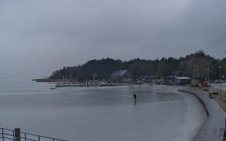 Dąbki - 06-02-2026 14:32