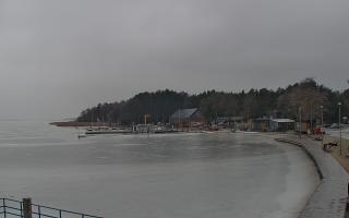 Dąbki - 06-02-2026 14:40