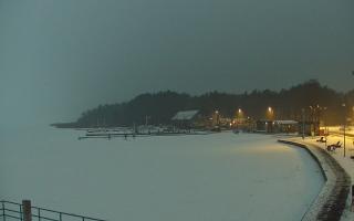 Dąbki - 11-02-2026 16:24