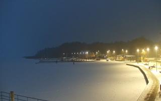 Dąbki - 11-02-2026 16:31