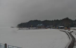 Dąbki - 12-02-2026 11:54