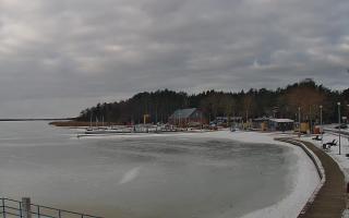 Dąbki - 15-02-2026 08:50