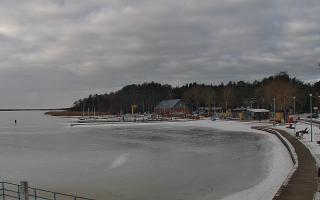 Dąbki - 15-02-2026 08:57