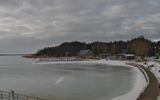 Dąbki - 15-02-2026 09:05