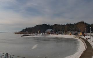 Dąbki - 16-02-2026 11:01