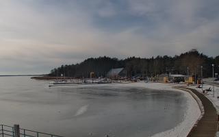 Dąbki - 16-02-2026 11:24