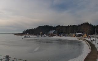 Dąbki - 16-02-2026 11:31