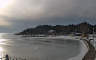 Dąbki - 16-02-2026 13:04