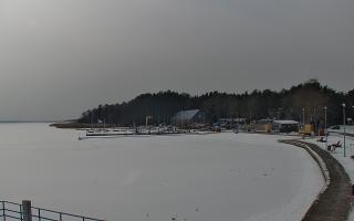 Dąbki - 17-02-2026 11:47