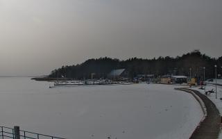 Dąbki - 17-02-2026 12:18