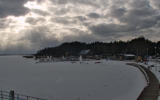 Dąbki - 18-02-2026 13:34