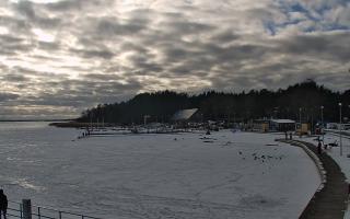 Dąbki - 19-02-2026 13:19