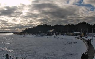 Dąbki - 19-02-2026 13:26