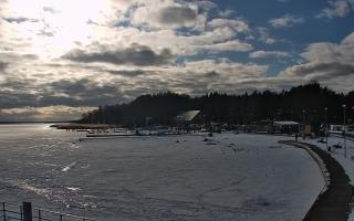 Dąbki - 19-02-2026 13:42