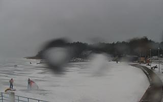 Dąbki - 21-02-2026 12:17