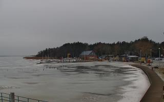 Dąbki - 22-02-2026 10:07