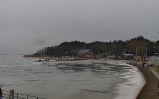 Dąbki - 22-02-2026 10:14