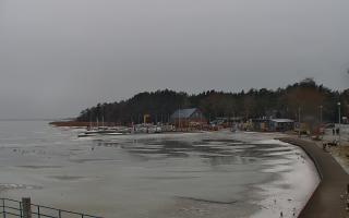 Dąbki - 22-02-2026 10:22