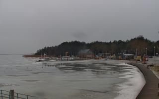 Dąbki - 22-02-2026 10:30